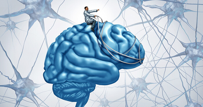 Stories our mind makes&nbsp;up