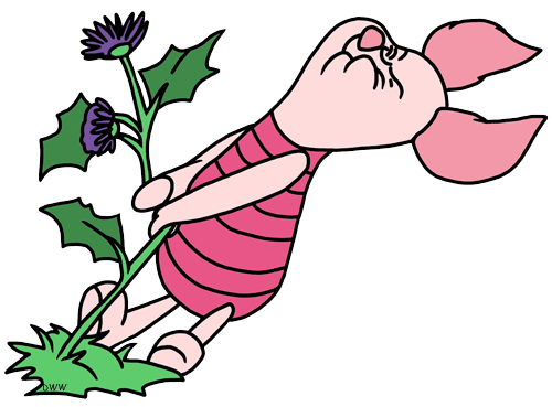 Weeding your subconscious